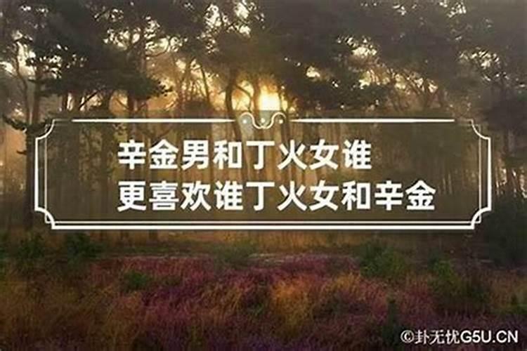 女金命男火命合婚吗？