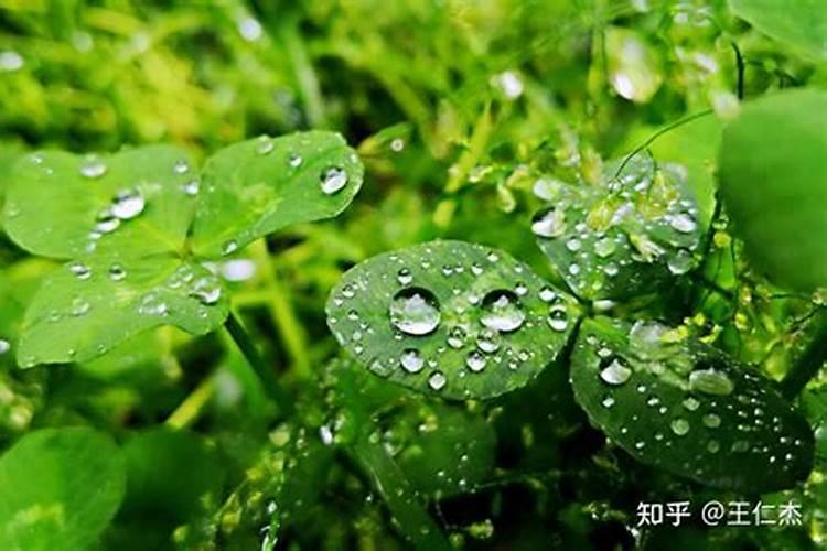 八字戊癸合化有水吗？