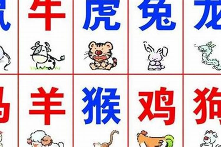 送运势红与黑打一生肖