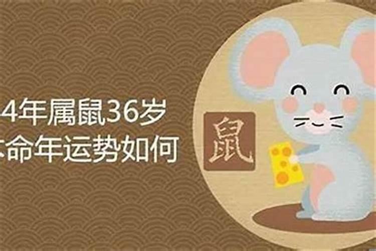 84年男的人2026年运程