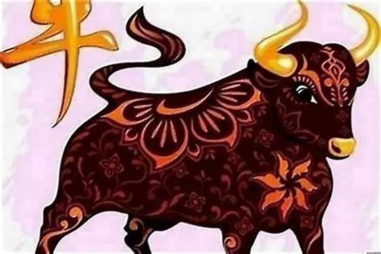 本命年注意些什么属牛？