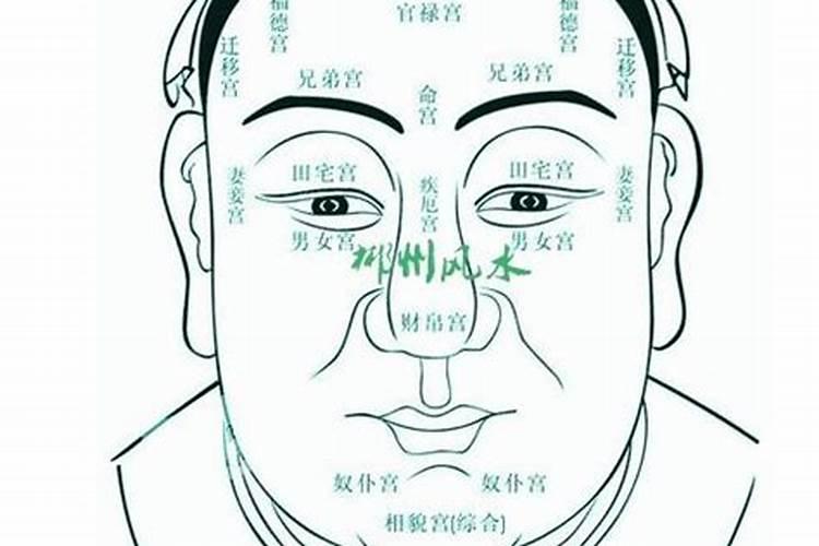 面相能看出来运势吗？