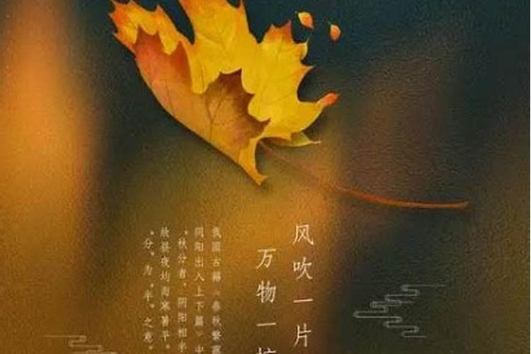 秋分应该注意