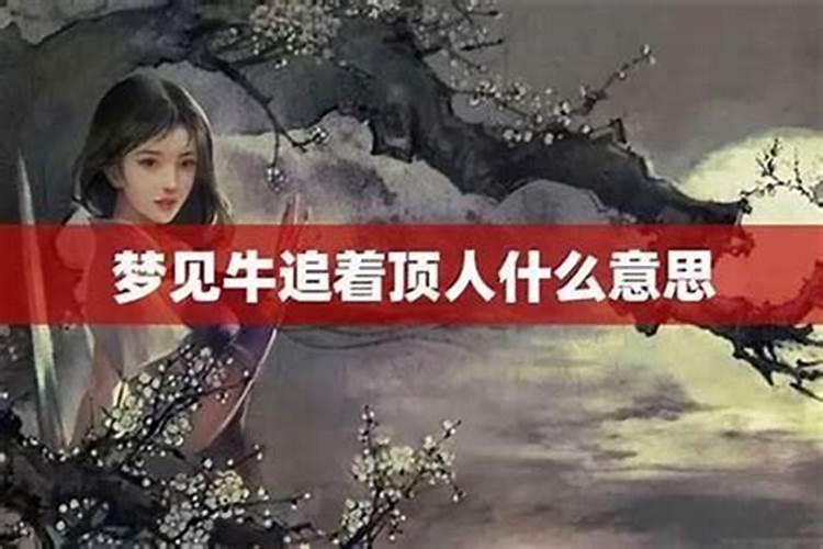 梦到牛顶人但是没顶自己什么意思？
