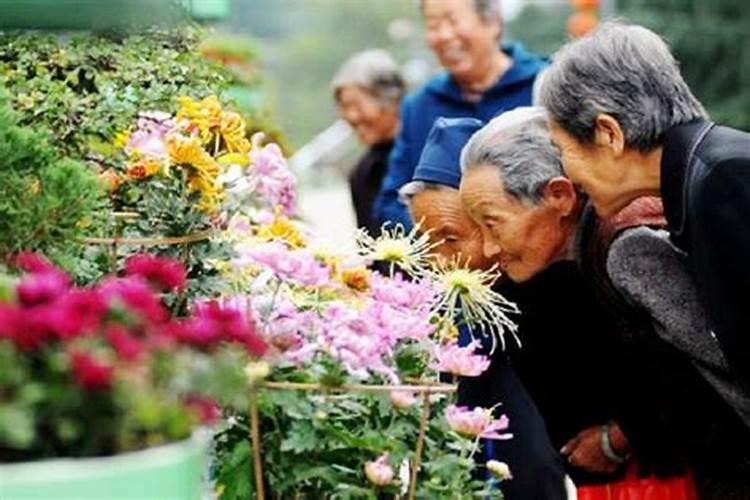 重阳节是做什么？