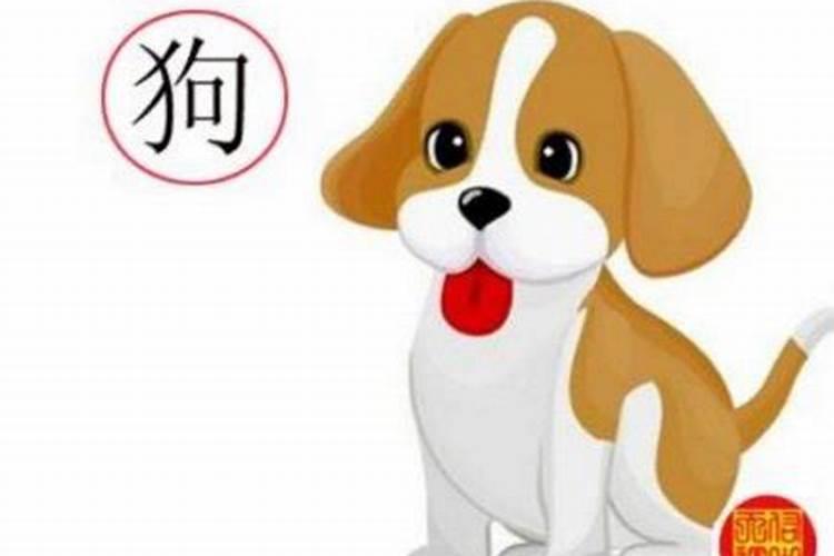 属狗在鸡年的运程如何？