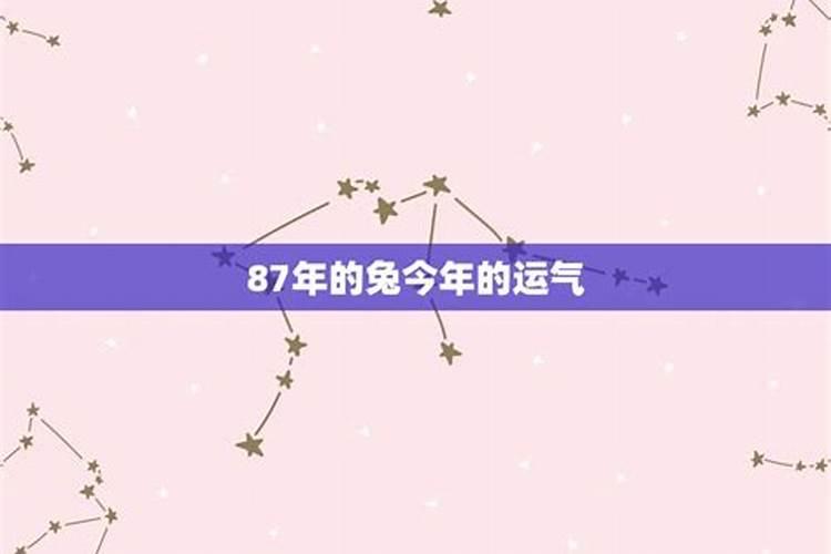 87年的男兔今年的运势