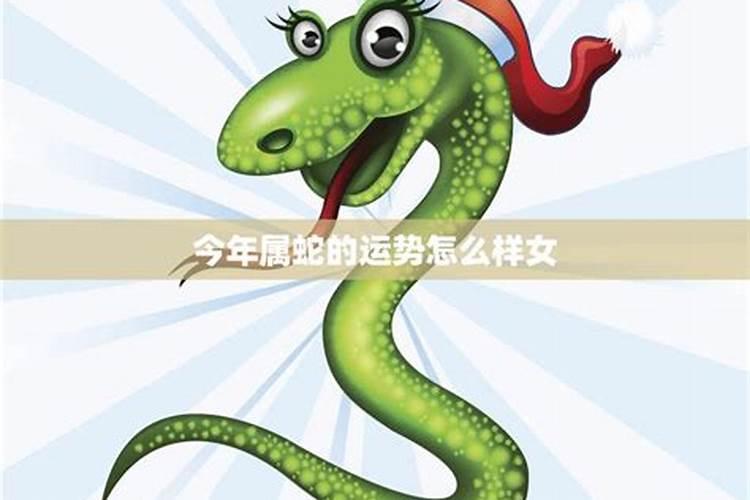 属蛇的今年运势怎么样？