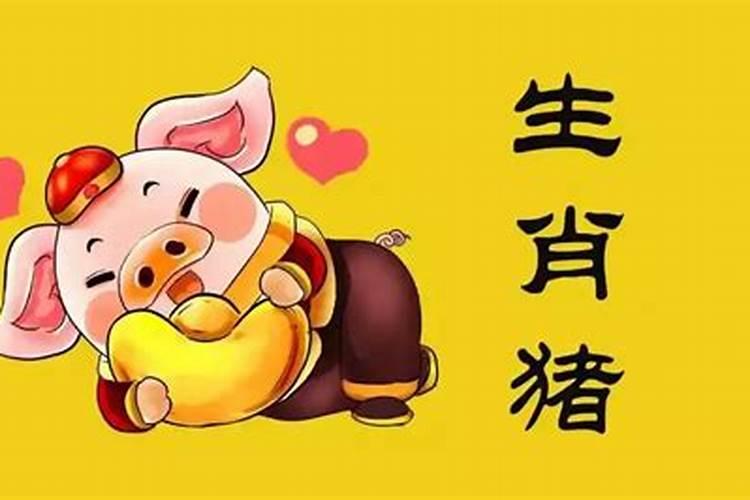 属猪最佳婚配什么属相？