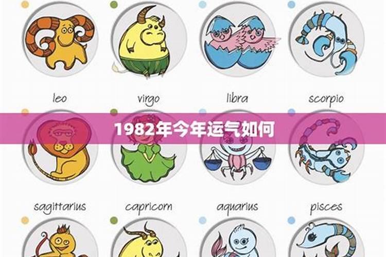 1982今年的运势如何？