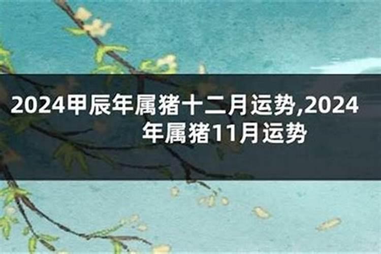 猪年今年2026的运势