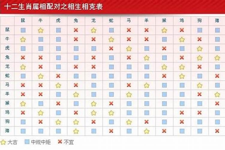 什么属相的婚配最好？