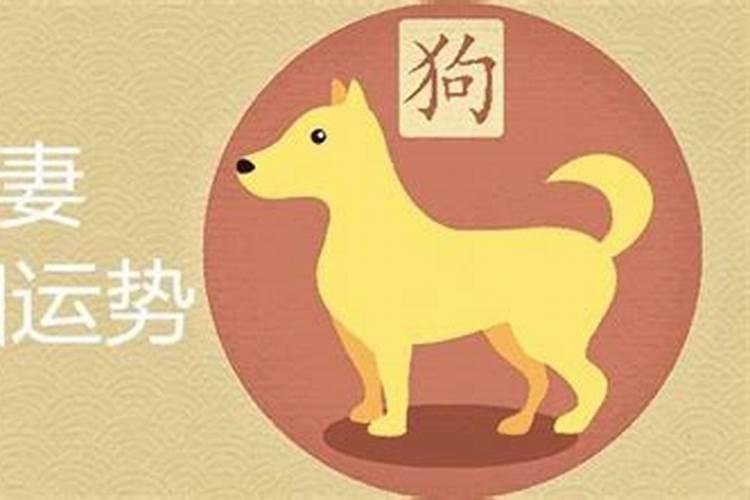 属狗女跟牛男合婚吗？
