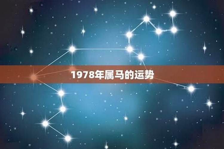 1978年今年的运势