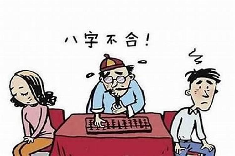 属兔跟属狗八字合不合