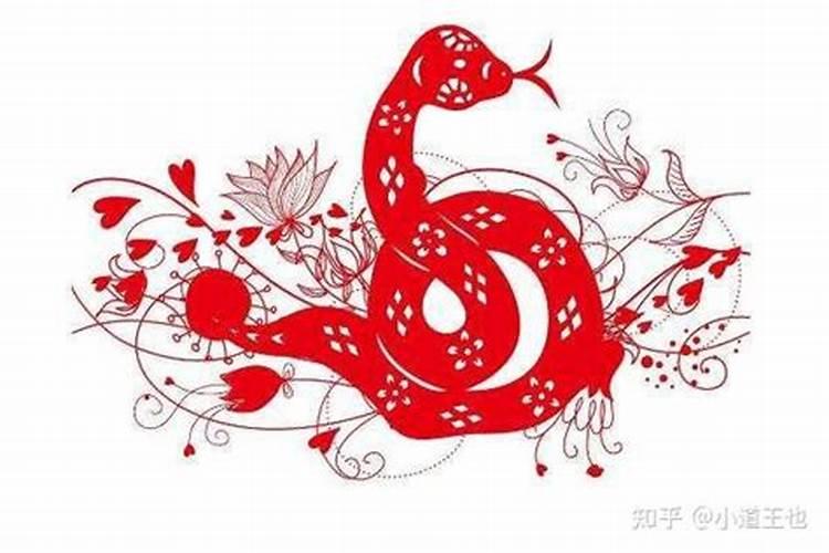 属蛇犯太岁怎么化解？