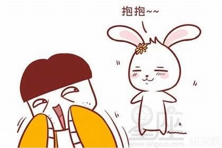女兔男龙合婚吗？