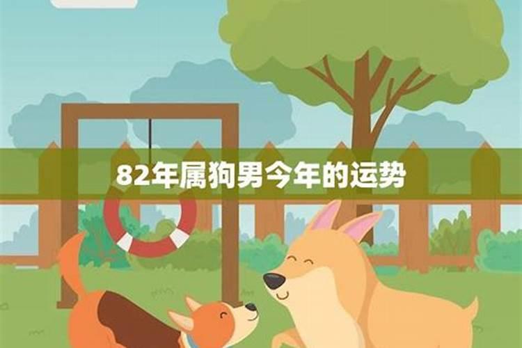 82年属狗男一生运程
