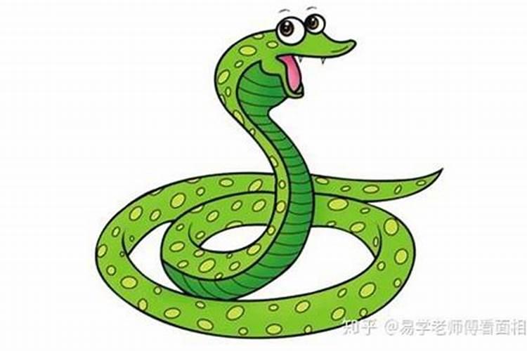 猴与蛇属相婚配怎样？