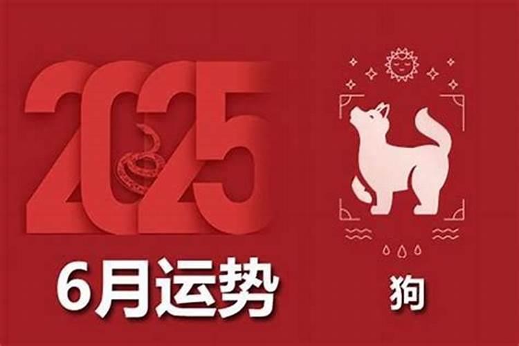 生肖狗在2026年运程