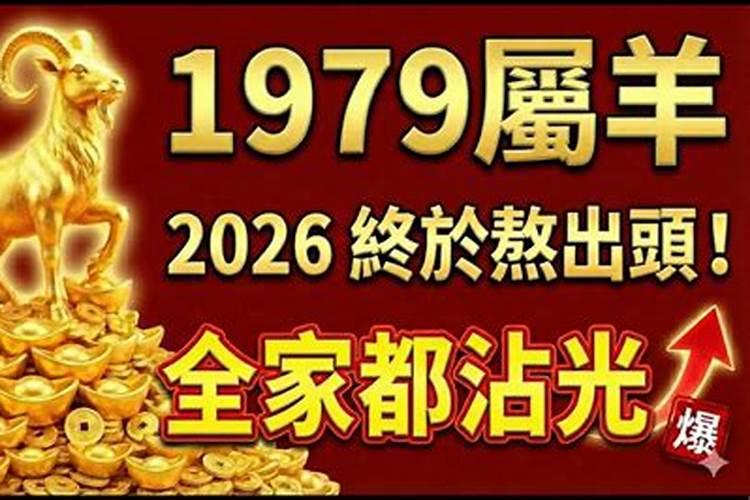 1979年肖羊2026年运程