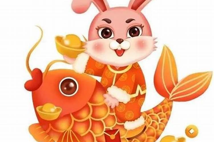 求属兔人在今年运势如何？