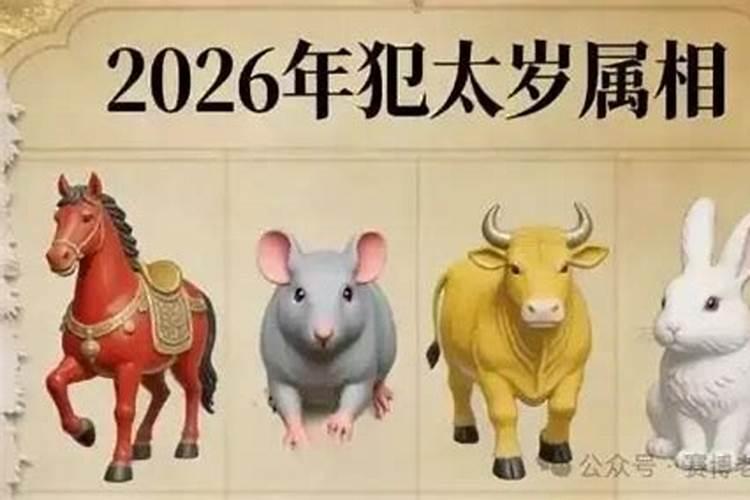 2026年属鼠值太岁怎么化解？