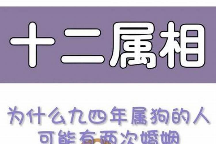 九月初九属狗的人命运
