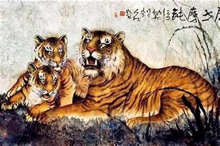 属虎人一生命运及运程