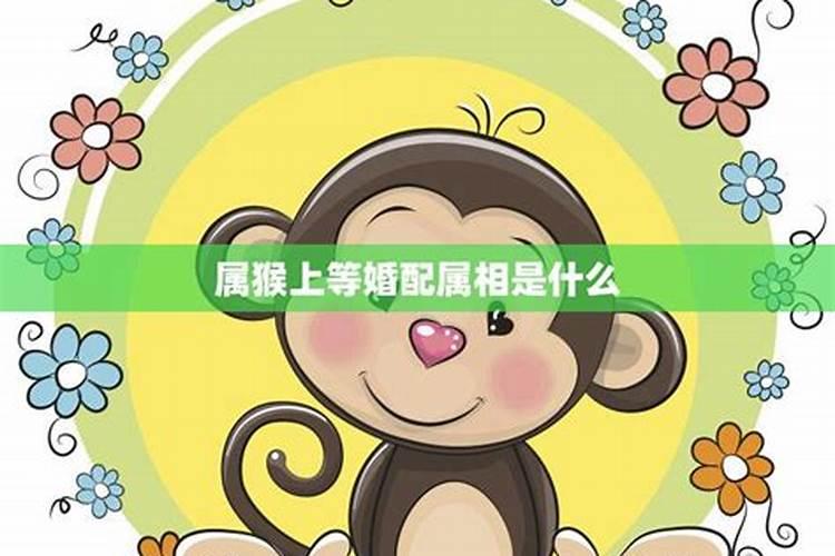 属猴的属相婚配什么属相好？