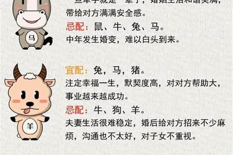 男的属马女的属鸡合婚吗？
