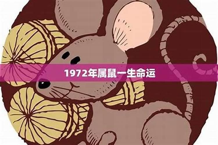 1972属鼠运程今年运程