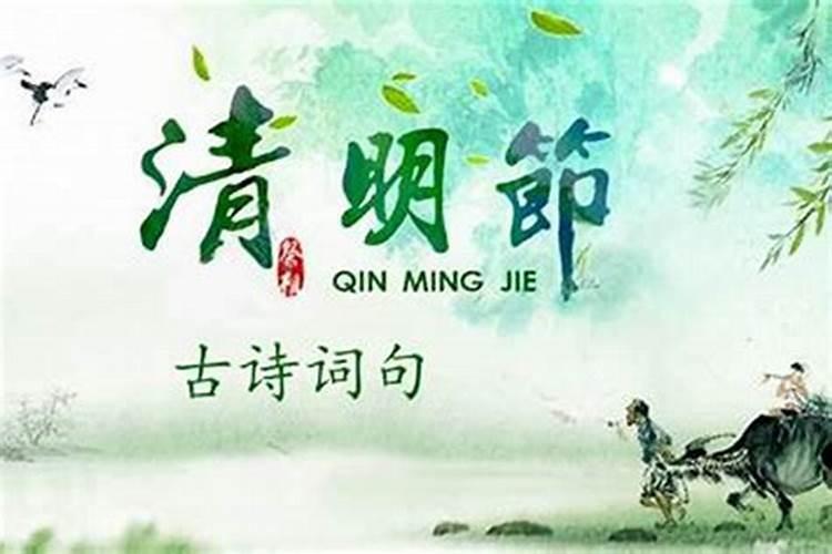 清明节定在哪一天？