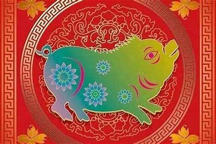 本命年猪犯太岁是什么意思？