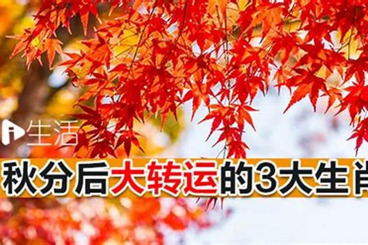 秋分如何转运？