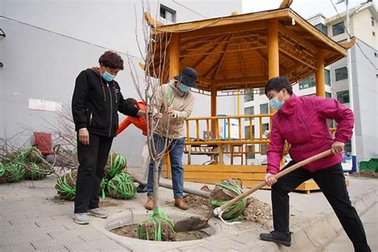 西宁清明节祭扫