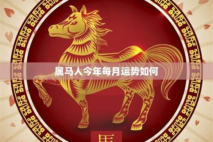 5月生的马今年运势