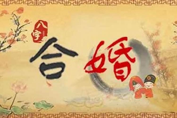 虎和猪为什么八字不合？