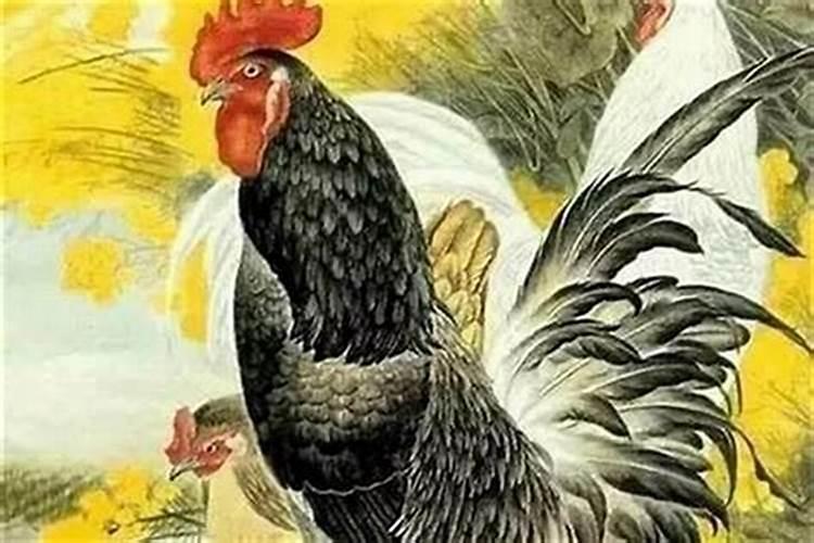 属鸡的农历四月运势如何？