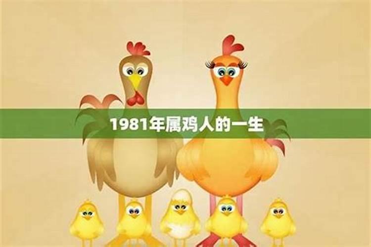 一九六九年属鸡一生的运程