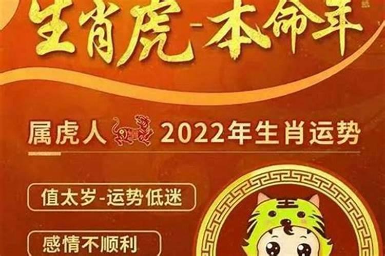 74年的虎在2026年运程如何？