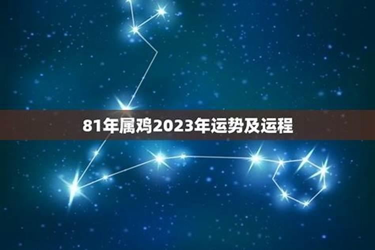 81年9月23运势如何？
