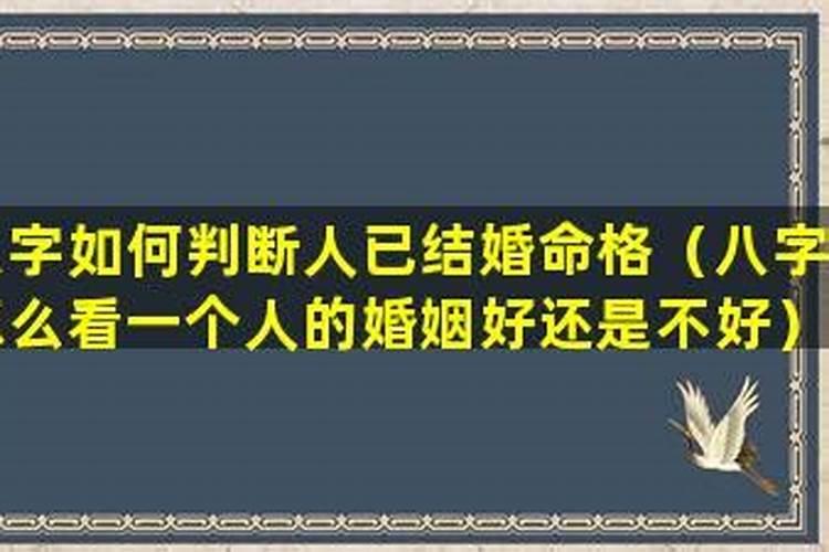 八字怎么看已申合？