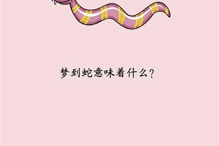 梦见梦到蛇犯小人吗？