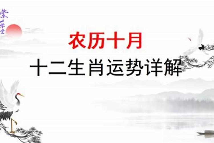 十月的属什么生肖运势？