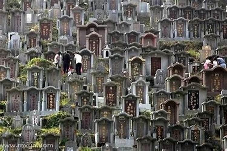梦见坟地好多骨灰放家里？