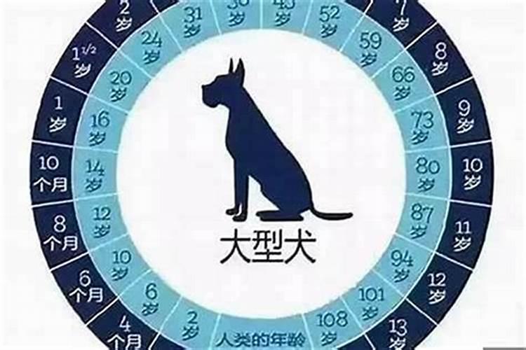 58年出生今年属狗的运势
