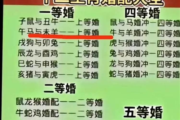 男鸡和羊女合婚相配吗？