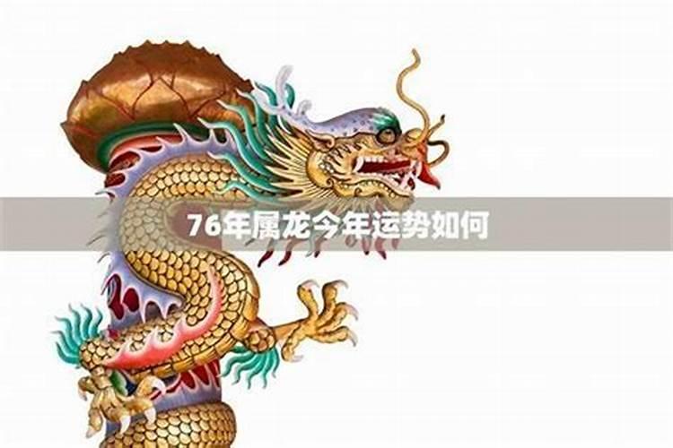 属龙的在2026年的运势