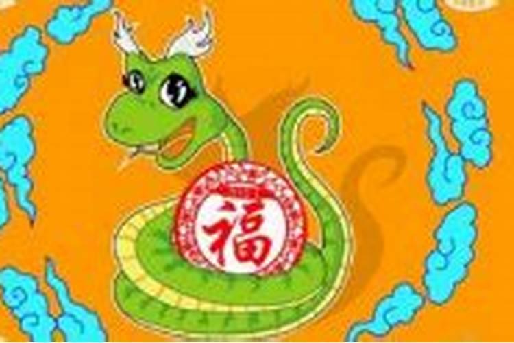 属蛇在猪年运势如何？